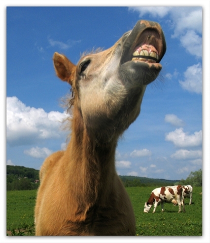 Rires et sourires