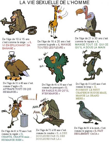 Séquence Humour